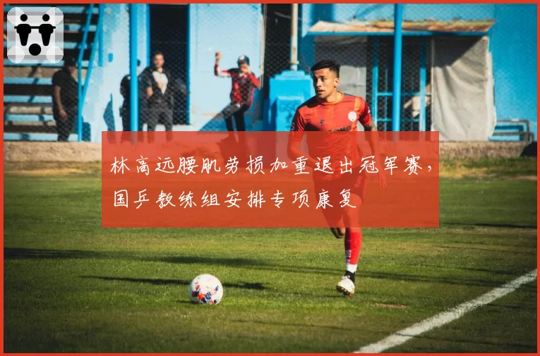 林高远腰肌劳损加重退出冠军赛，国乒教练组安排专项康复