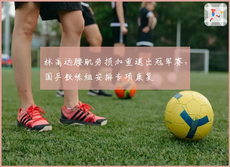 林高远腰肌劳损加重退出冠军赛，国乒教练组安排专项康复