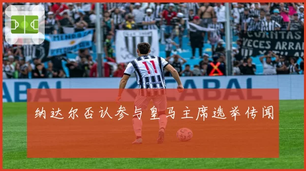 纳达尔否认参与皇马主席选举传闻