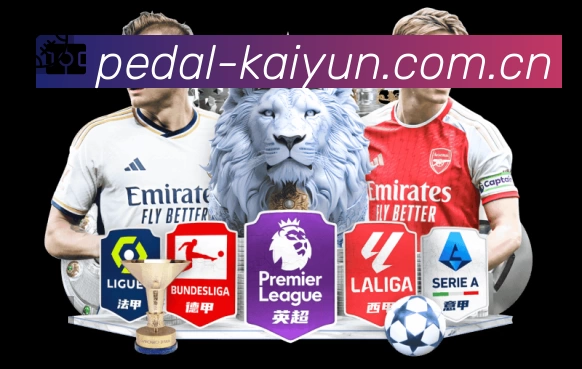 赛事回放与集锦