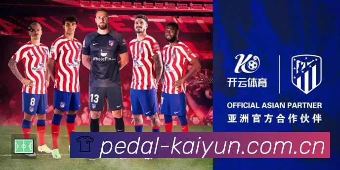 开云平台展示图