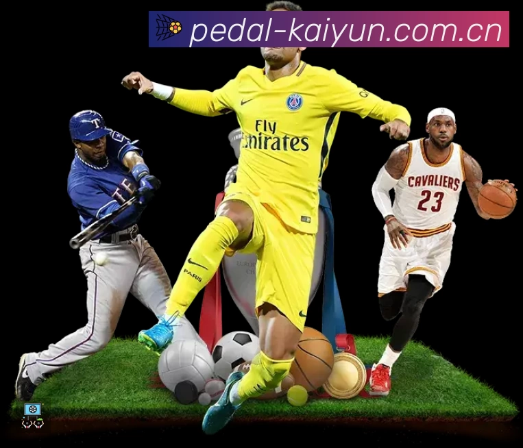 体育平台欢迎图